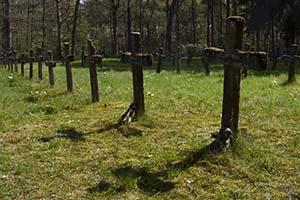 Cemetery of the Insane